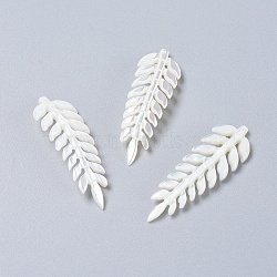Natural Shell Pendants, Leaf, White, 45~47x14~15x2~2.5mm, Hole: 0.8mm(SSHEL-L016-003A)