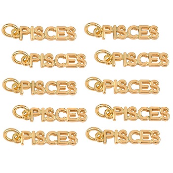10Pcs Brass Pendants, with Jump Rings, Long-Lasting Plated, Constellation/Zodiac Sign, Golden, Pisces, Pisces: 4x19x1.5mm, Hole: 3mm