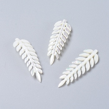 Natural Shell Pendants, Leaf, White, 45~47x14~15x2~2.5mm, Hole: 0.8mm