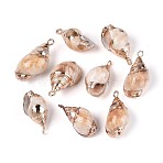 Electroplated Natural Shell Pendants, Shell Shape Charms, with Brass Findings, Golden, Wheat, 22~27x11~15x9~12mm, Hole: 1.6~1.8mm(BSHE-T015-08)