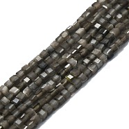 Natural Grey Agate Beads Strands, Faceted, Cube, 2x2x2mm, Hole: 0.6mm, about 182pcs/strand, 15.16''~15.55''(38.5~39.5cm)(G-P457-B01-42)