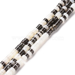 Natural Trochid Shell Beads Strands, Dyed, Flat Round, Black, 4x2~2.5mm, Hole: 0.8mm, about 171~172pcs/strand, 15.55 inch(39.5cm)(SSHEL-G023-02C-04)