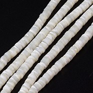 Natural Trochid Shell/Trochus Shell Beads Strands, AB Color Plated, Disc/Flat Round, 6x2mm, Hole: 1mm, about 198pcs/strand, 15.55''(39.5cm)(SHEL-P015-12)