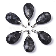 Natural Larvikite Pendants, with Stainless Steel Pinch Bails, Teardrop, Stainless Steel Color, 24x15x9~10mm, Hole: 5x4mm(G-N0326-023A)