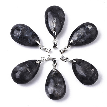 Natural Larvikite Pendants, with Stainless Steel Pinch Bails, Teardrop, Stainless Steel Color, 24x15x9~10mm, Hole: 5x4mm