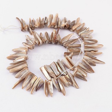 Natural Shell Beads Strands(YPBB030)-2