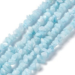 Natural White Jade Chip Beads Strands, Imitation Aquamarine, Dyed, 5~19.5x3~8.5x1.5~7.5mm, Hole: 1mm, about 221~293pcs/strand, 31.10~32.68 inch(79~83cm)(X-G-G905-02)