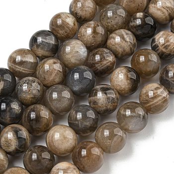 Natural Black Moonstone Beads Strands, Round, 10mm, Hole: 1.2mm, about 40pcs/strand, 15.16''(38.5cm)