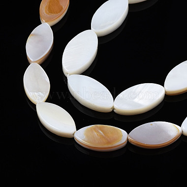 Eau douce naturelle de coquillage perles brins(SHEL-Q024B-017)-4