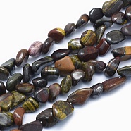 Natural Tiger Eye Beads Strands, Tumbled Stone, Nuggets, 8~14x6~10x4~10mm, Hole: 0.8mm, about 40~43pcs/strand, 15.3~15.7 inch(39~40cm)(G-G765-37)