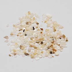 Natural Shell Nuggets Chips Bead, No Hole, Seashell Color, 2~5x1~3x2mm(SHEL-P004-10)