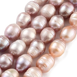 Natural Cultured Freshwater Pearl Beads Strands, Grade B, Rice, Rosy Brown, 10~11mm, Hole: 0.7mm, about 15pcs/strand, 6.69~7.09''(17~18cm)(PEAR-P062-12C)