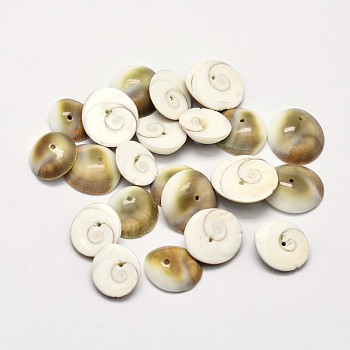 Natural Shiva Eye Shell Beads, Dark Khaki, 11~15x4~5mm, Hole: 1mm, about 480pcs/500g