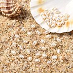 10Pcs Natural Cultured Freshwater Pearl Beads, Rice, Seashell Color, 3~3.5x2.5mm, Hole: 0.6mm(PEAR-YW0001-45)