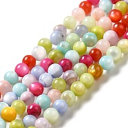 Dyed Natural Freshwater Shell Beads Strands, Round, Colorful, 3mm, Hole: 0.5mm, about 129pcs/strand, 15~15.16 inch(38.1~38.5cm)(SHEL-G014-05B-02)