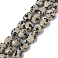 Natural Dalmatian Jasper Beads Strands, Oval, 8x6x3.5~4mm, Hole: 1mm, about 45~52pcs/strand, 15.16~15.74 inch(38.5~40cm)(G-Z006-A31)