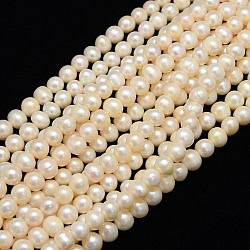 Natural Cultured Freshwater Pearl Beads Strands, Potato, Creamy White, 8~9mm, Hole: 0.8mm, about 40pcs/strand, 13.77 inch~14.17 inch(PEAR-L001-E-07)