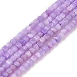 Natural Freshwater Shell Dyed Beads Strands, Faceted Table Cut Cube, Plum, 3~3.5x3~3.5x3~3.5mm, Hole: 1mm, about 123pcs/strand, 15.35''(39cm)(SHEL-R100-11A-04)