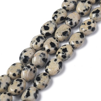 Natural Dalmatian Jasper Beads Strands, Oval, 8x6x3.5~4mm, Hole: 1mm, about 45~52pcs/strand, 15.16~15.74 inch(38.5~40cm)