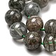 Natural Lodolite Quartz Beads Strands(G-R494-A15-04)-3