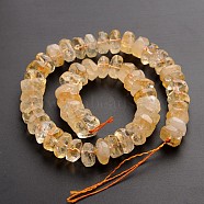 Natural Citrine Beads Strands, Faceted, Rondelle, 14~16x7~9mm, Hole: 3~4mm, about 47~54pcs/strand, 15.3 inch(G-J332-B04-A)