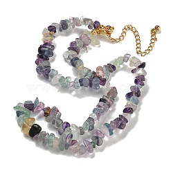 Natural Fluorite Chips Beaded Necklace, Gemstone Jewelry for Women, 15.75 inch(40cm)(NJEW-FZ00004-08)