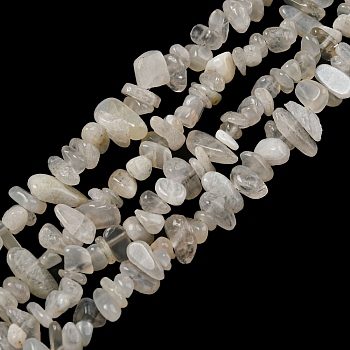 Natural Moonstone Beads Strands, Chip, 1.5~5x3~13x2~8mm, Hole: 0.6mm, 30.94~31.97''(78.6~81.2cm)