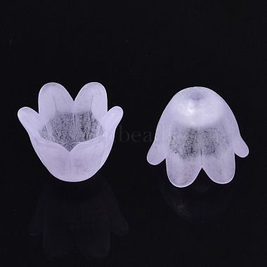 Transparentes bouchons acrylique de perles(X-FACR-N005-002F)-4