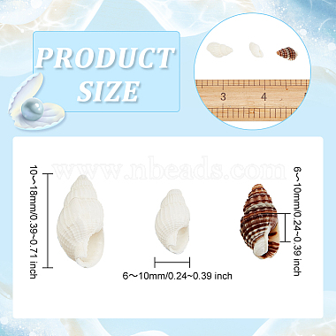 Elite Natural Sea Shell Beads Strands(SHEL-PH0001-41)-5