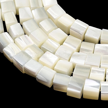 Natural Trochid Shell/Trochus Shell Beads Strands(SHEL-C010-05A)-2