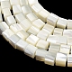 Natural Trochid Shell/Trochus Shell Beads Strands(SHEL-C010-05A)-2