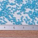 MIYUKI Delica Beads Small(X-SEED-J020-DBS0725)-4