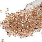 TOHO 6/0 Round Beads, Japanese Seed Beads, (31) Silver-Lined Translucent Rosaline, 4mm, Hole: 1.5mm, about 168pcs/10g(X-SEED-TR06-0031)