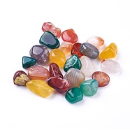 Natural Multi-Color Agate Beads, Undrilled/No Hole, Dyed, Chips, 5~19x4~10x2~7mm, about 100g/bag(G-I221-23A)
