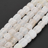 Natural Crackle Agate Beads Strands, Cube, 5~8x4~8x4~6mm, Hole: 1.2mm, about 65pcs/strand, 13.58~13.98 inch(34.5~35.5cm)(G-N326-99-B01)