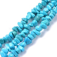 Natural Magnesite Beads Strands, Dyed, Chip, Cyan, 6~10x6~10x3~4mm, Hole: 0.5~0.7mm, 15.55''~16.54''(39.5~42cm)(TURQ-P001-02A-02)