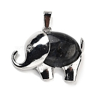 Natural Larvikite Pendants, Elephant Charms with Alloy Findings, Platinum, 29x37~37.5x9.5~10mm, Hole: 3x9mm(G-G112-01P-11)