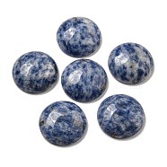 Natural Blue Spot Jasper Cabochons, Flat Round, 20~21.5x6~8mm(G-C115-02A-45)