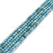 Natural Blue Opal Beads Strands, Faceted, Round, Grade AA, 3mm, Hole: 0.8mm, about 131pcs/strand, 15.47''(39.3cm)(G-K315-B05-B)