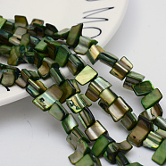 Natural Shell Beads Strands, Green, 8~17.5x5~8x5mm, Hole: 1mm, 16 inch/strand, 40pcs/strand(PBB050Y)