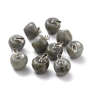 Natural Labradorite Pendants, with Platinum Brass Loops, Apple, 14~15x14x14mm, Hole: 6x3mm(G-Z022-01Q)