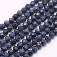 Natural Sapphire Beads Strands, Grade A, Faceted, Round, 3mm, Hole: 0.5mm, about 132pcs/strand, 15.7 inch(40cm)(G-F509-18-3mm)