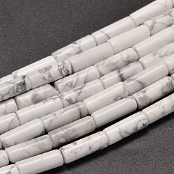 Natural Howlite Column Beads Strands, 13~14x4~5mm Hole: 1mm, about 28pcs/strand, 15.2 inch(X-G-F247-07)