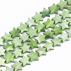 Freshwater Shell Beads Strands, Dyed, Star, Lime Green, 12x12.5x3mm, Hole: 1mm, about 35pcs/strand, 15.55 inch(39.5cm)(X-SHEL-S276-31C)