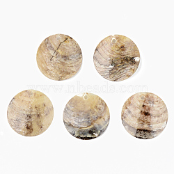 Natural Akoya Shell Pendants, Mother of Pearl Shell Pendants, Flat Round, Camel, 25x2~5mm, Hole: 1.6mm(SHEL-R048-023)