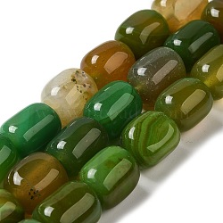 Natural Agate Beads Strands, Dyed & Heated, Column, Dark Green, 15~16x11.5~13x11~13mm, Hole: 1.6mm, about 12pcs/strand, 7.17~7.28''(18.2~18.5cm)(G-H295-F01-02)