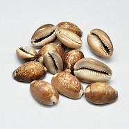 Natural Shell Oval Beads, Peru, 25~35x17~25x12~25mm, Hole: 1mm, about 100pcs/500g(BSHE-O007-44)
