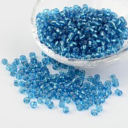 6/0 Round Silver Lined Round Hole Glass Seed Beads, Pale Turquoise, 4mm, Hole: 1.5mm, about 496pcs/50g(X-SEED-A005-4mm-23)