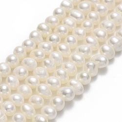 Natural Cultured Freshwater Pearl Beads Strands, Potato, Beige, 4~6x5~7x5~6mm, Hole: 0.7mm, about 67~71pcs/strand, 13.58~14.25 inch(34.5~36.2cm)(PEAR-F018-17C)
