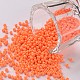11/0 FGB Grade A Round Glass Seed Beads(SEED-N001-A-1067)-1
